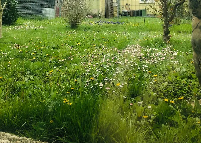 Ferienwohnung Feldmann