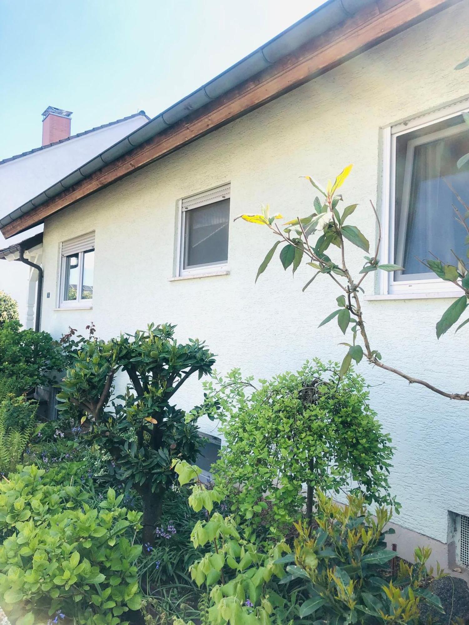 Feldmann Freckenfeld